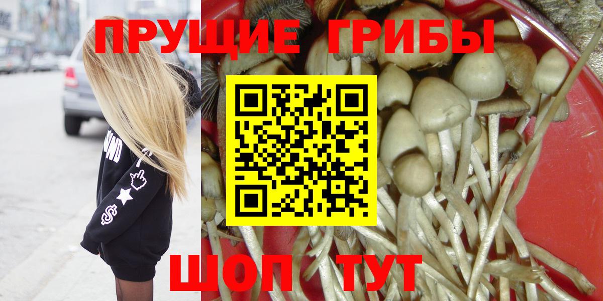 Галлюциногенные грибы прущие грибы  Галлюциногенные грибы Psilocybe  Белогорск  закладка  Вход с VPN 